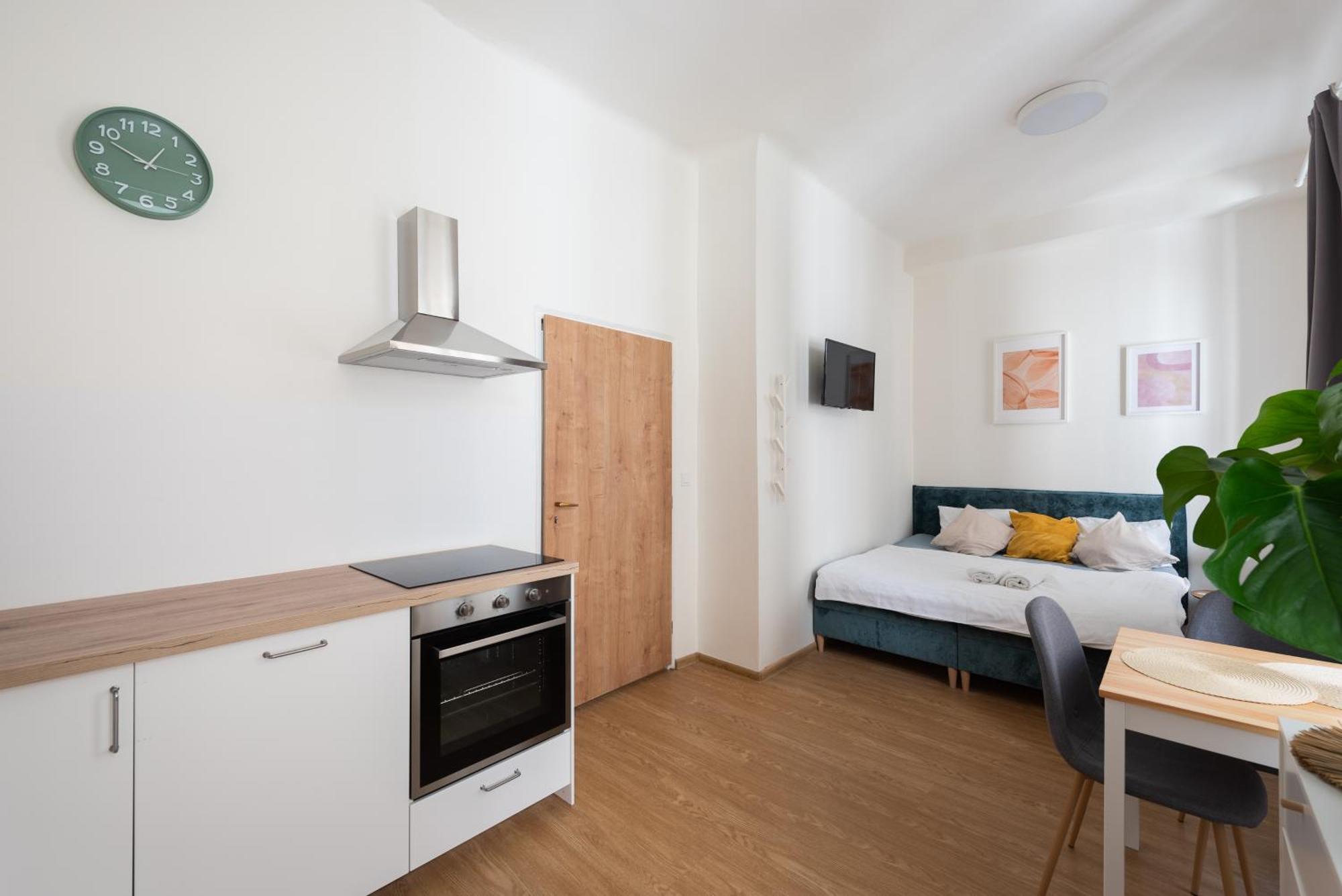 Apartament Tesnov Praga