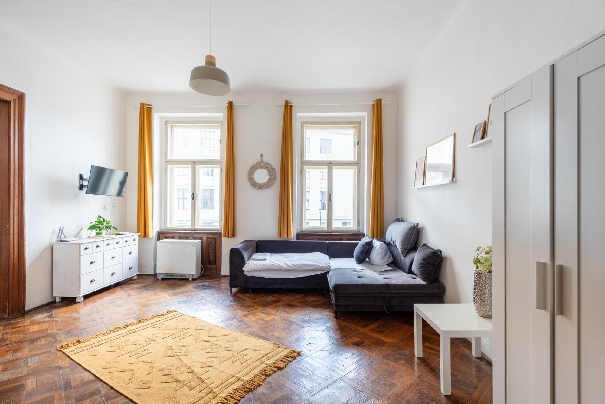Apartament Tesnov Praga
